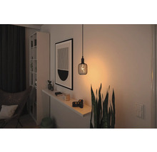 Dekorativt vardagsrum med hänglampa, hylla och krukväxter