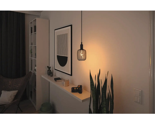 Dekorativt vardagsrum med hänglampa, hylla och krukväxter