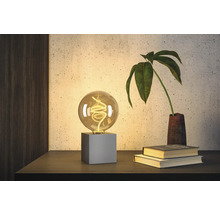 Dekorativ bordslampa med glödlampa och växt på ett bord