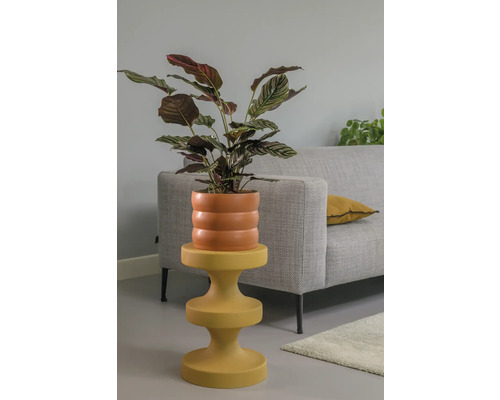 Växt i kruka på ett sidobord bredvid en soffa