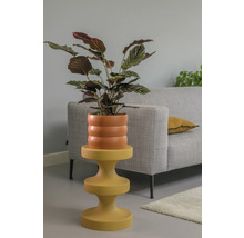 Inomhusväxt i räfflad kruka på ett sidobord i vardagsrummet