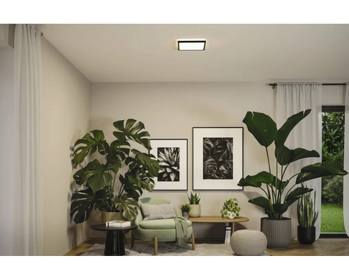 Vardagsrum med krukväxter, dekoration och fyrkantig taklampa