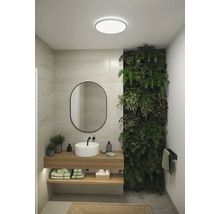 Modernt badrum med handfat, spegel, växtvägg och taklampa för en naturlig atmosfär