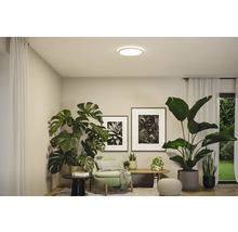 Vardagsrum med krukväxter, möbler och rund taklampa