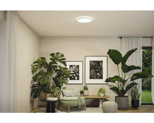 Vardagsrum med krukväxter, möbler och rund taklampa