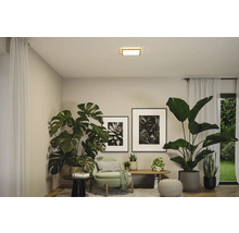 Vardagsrum med krukväxter, sittmöbler, väggmålningar och taklampa