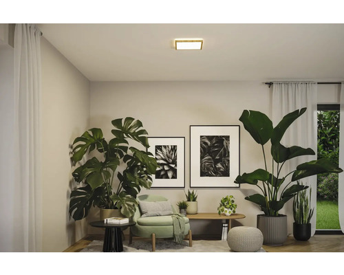 Vardagsrum med krukväxter, sittmöbler, väggmålningar och taklampa