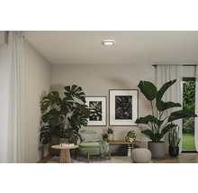 Vardagsrum med krukväxter, möbler och fyrkantig taklampa