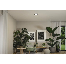 Vardagsrum med krukväxter, fåtölj, taklampa och inramade bilder