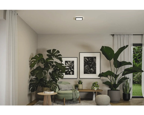 Vardagsrum med krukväxter, fåtölj, taklampa och inramade bilder