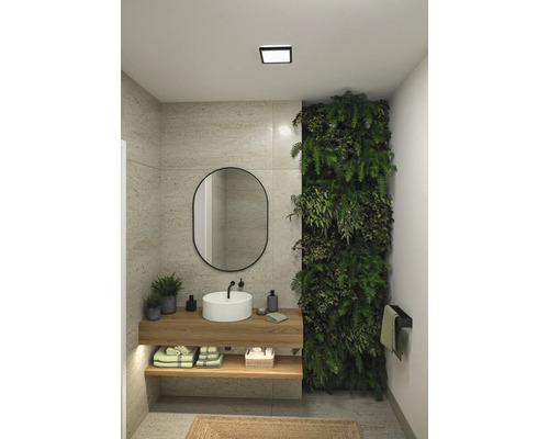 Ljust badrum med handfat, spegel, växtvägg och handdukshängare