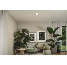 Vardagsrum med krukväxter, fåtölj, tavlor och taklampa