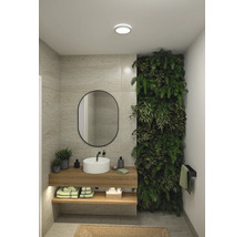 Modernt badrum med handfat, spegel, växtvägg och trähylla