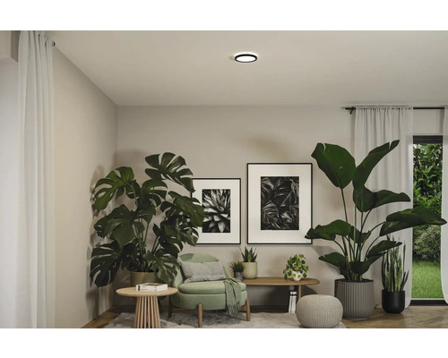 Vardagsrum med krukväxter, bilder och taklampa