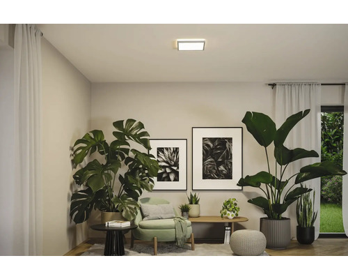 Vardagsrum med krukväxter, fåtölj, soffbord, infälld taklampa och fönster med gardiner