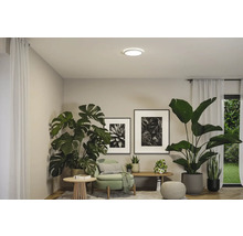 Vardagsrum med krukväxter och rund taklampa