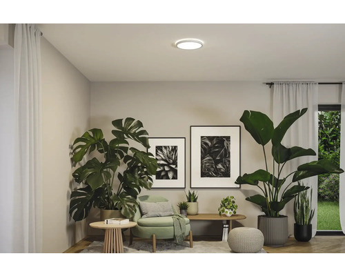 Vardagsrum med krukväxter och rund taklampa