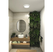 Modernt badrum med handfat, spegel och vertikal trädgård