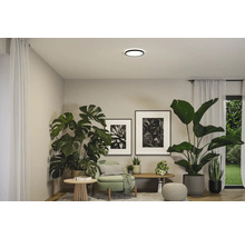 Vardagsrum med krukväxter, dekoration och en rund taklampa