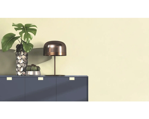 Dekorativt stilleben med en Monstera-växt i en vas, en kaktus i en kruka och en bordslampa på ett skåp.