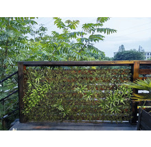 Dekorativ grön växtvägg med träram för utomhusbruk