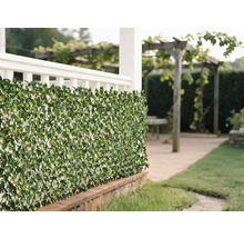 Dekorativ grön lövmatta som insynsskydd i trädgården.