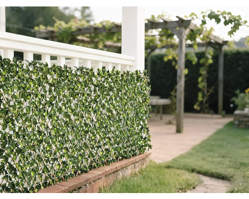 Dekorativ grön lövmatta som insynsskydd i trädgården.