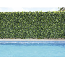 Dekorativ grön växtvägg bredvid en pool.