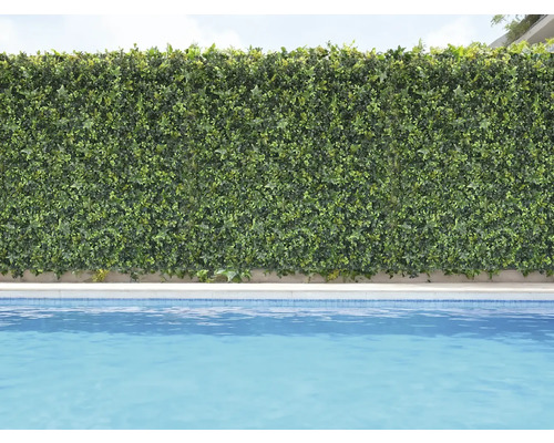 Dekorativ grön växtvägg bredvid en pool.