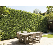 Utomhusscen med matbord och grön vägg som insynsskydd i trädgården.