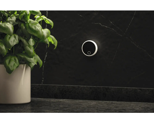 Miljöbild med en vägglampa, en krukväxt och en mörk bänkskiva