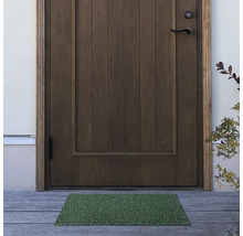 Entré med trädörr och grön dörrmatta