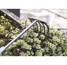 Trädgårdsräfsa för markbearbetning mellan växter