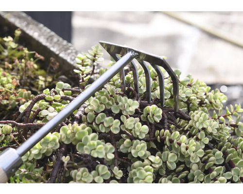 Trädgårdsräfsa för markbearbetning mellan växter