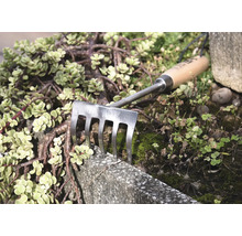 Trädgårdskratta med trähandtag och metallpinnar mellan växter