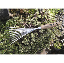 Trädgårdsräfsa med trähandtag och metallpinnar, omgiven av gröna växter.