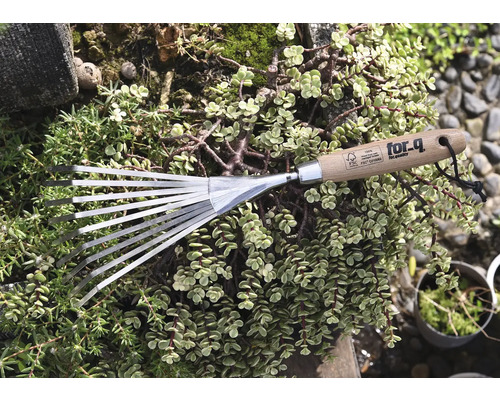 Trädgårdsräfsa med trähandtag och metallpinnar, omgiven av gröna växter.