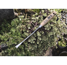 Ogräsjärn med trähandtag för trädgårdsarbete