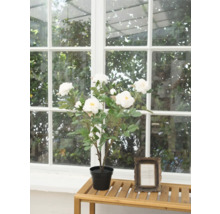 Konstgjord rosenbuske med vita blommor i kruka på ett bord framför ett fönster.