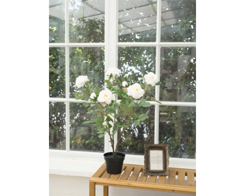 Konstgjord rosenbuske med vita blommor i kruka på ett bord framför ett fönster.