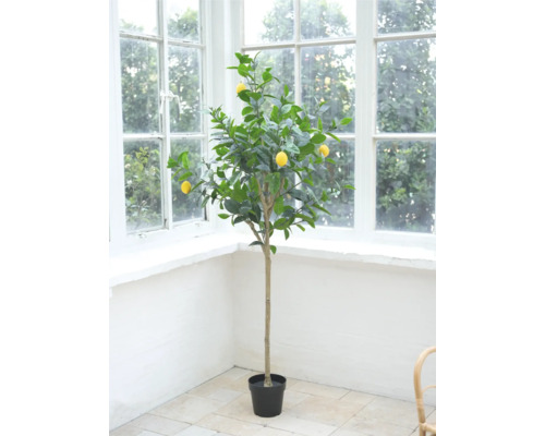 Dekorativt citronträd i kruka för inomhusbruk