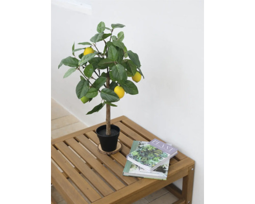 Dekorativt citronträd i kruka på ett träbord med böcker
