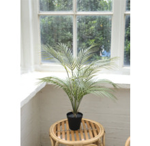 Konstgjord arekapalmen i kruka på ett rottingbord framför ett fönster