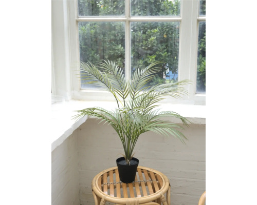 Konstgjord arekapalmen i kruka på ett rottingbord framför ett fönster