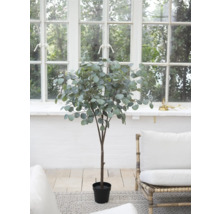 Konstgjord eukalyptusträd i kruka framför ett fönster