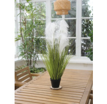 Dekorativ konstgjord växt med fjädrar i kruka på träbord