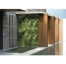 Utomhusvy med grön vägg, stenmur och vattenspegling