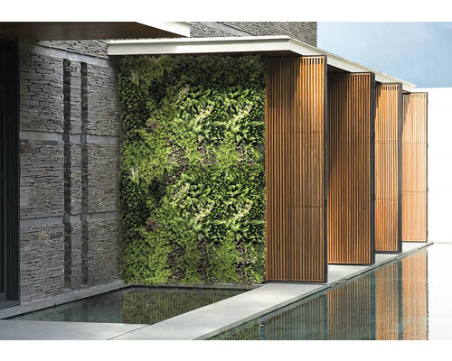 Utomhusvy med grön vägg, stenmur och vattenspegling