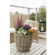 Dekorativa blommor och växter i en flätad korg på ett utomhusbord.