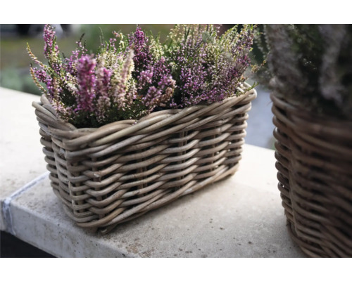 Ljung i en flätad korg